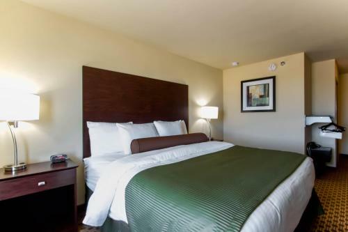 Hotel Cobblestone Inn & Suites Eads