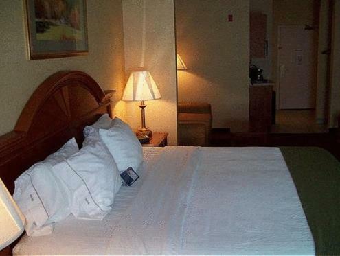 Hotel Holiday Inn Express & Suites Drums-hazleton (I-80)