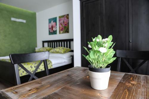 Hotel Villa Helia