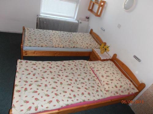 Hostal Zelen� Dom