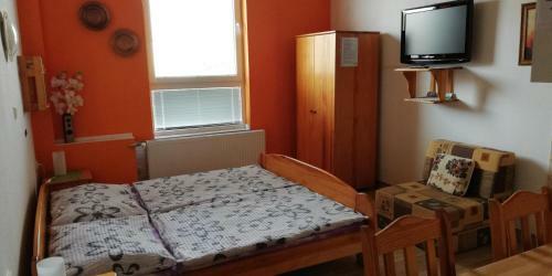 Hostal Zelen� Dom