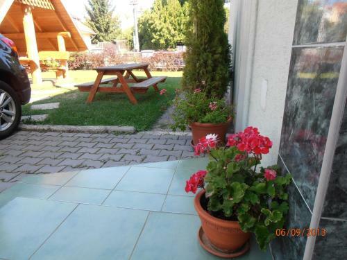 Hostal Zelen� Dom