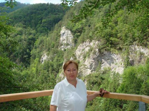 Lodge Drevenica Michael