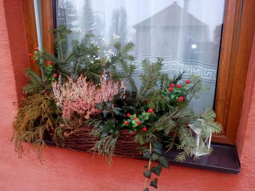 Apartman U Adamov