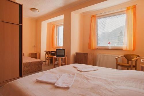 Hotel Borova Sihot