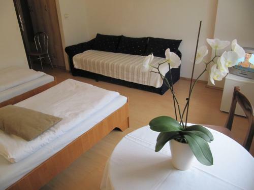 Hostal Penzion Kycera