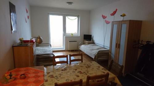 Apartman Pod Dedovkou