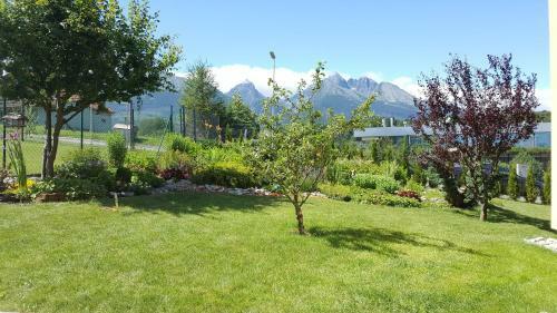 Apartment Privat Luna