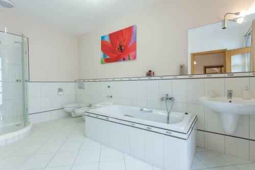 Apartmany Kolegium