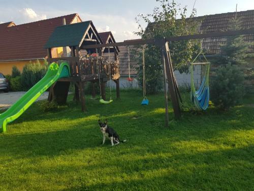Apartamentos Privat Bartky