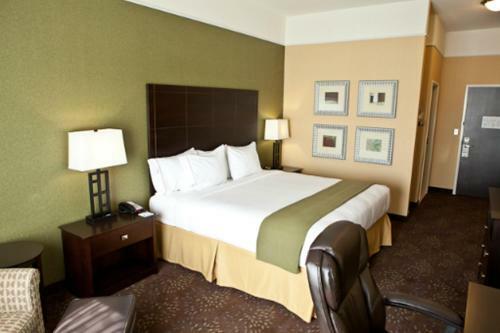 Holiday Inn Express Hotel & Suites Lansing-dimondale