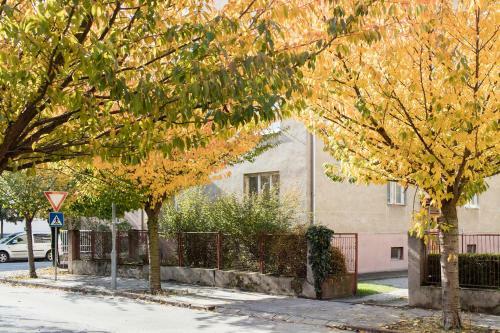 Apartamento Hodzova