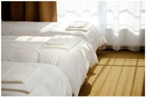 Hotel Mariana Gaborika