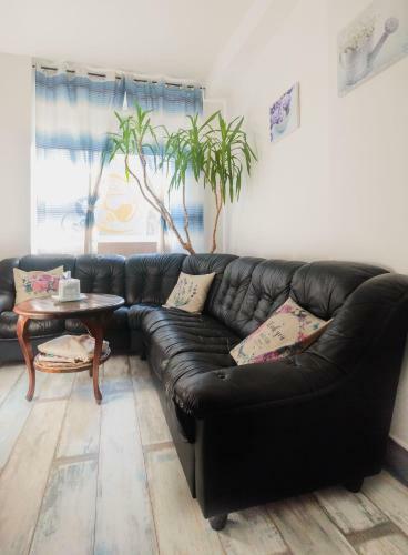 Hostal Penzi�n Exclusive