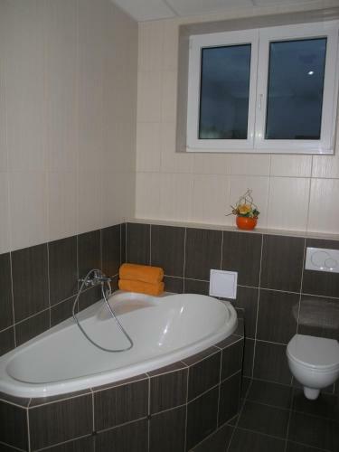 Hostal Penzi�n Fe?i
