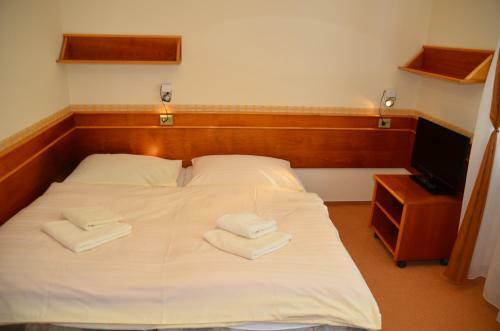 Hostal Penzion Fontis Terrae
