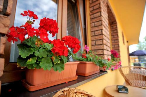 Hostal Penzion Anesis