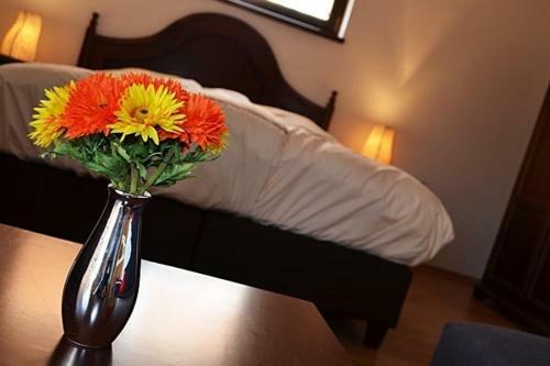 Bed & Breakfast Villa Vinica