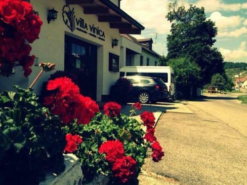 Bed & Breakfast Villa Vinica