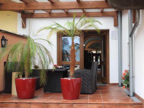 Hostal Penzion Kiska Levo?a