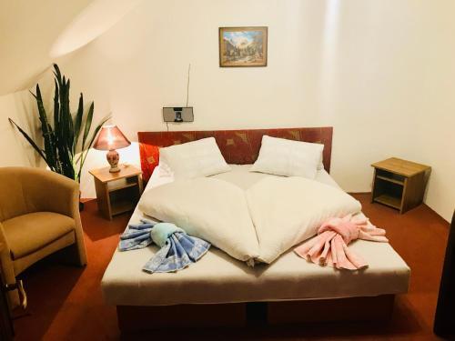 Hostal Penzion ?iko