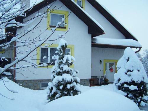 Hostal Penzion ?iko