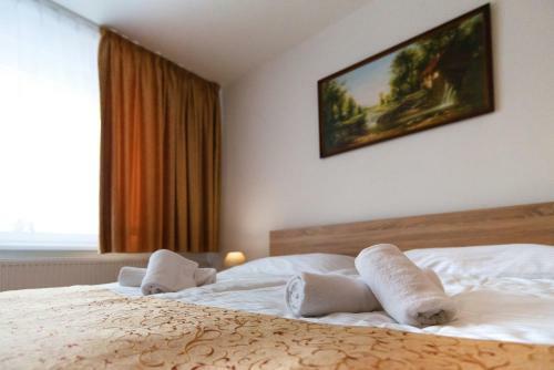 Hotel Lesana