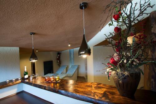 Hotel Lesana