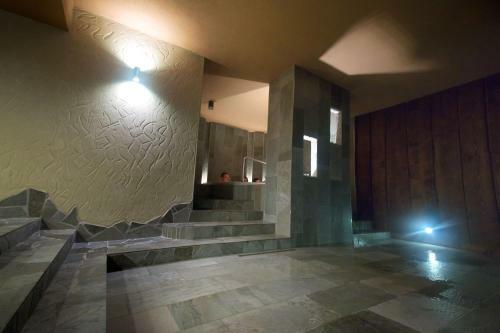 Hotel Lesana