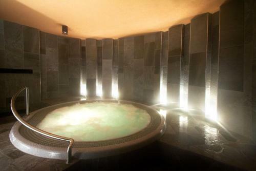 Hotel Lesana