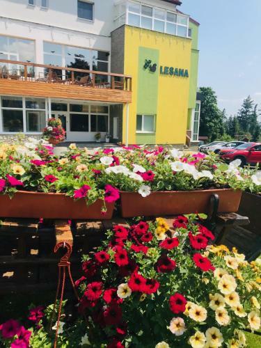 Hotel Lesana