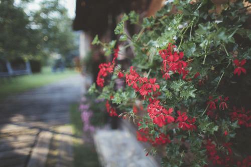 Hostal Holiday Resort ?v�rny