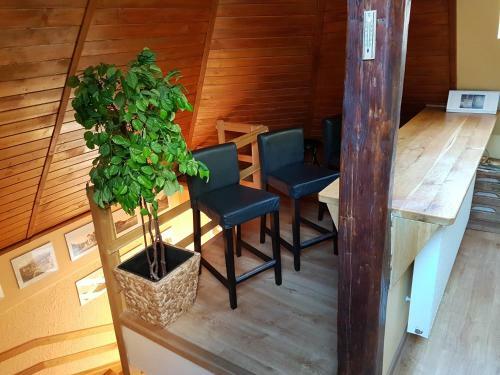 Hostal Vila Kalinciak