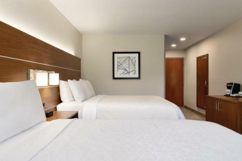 Holiday Inn Express Hotel & Suites Lavonia