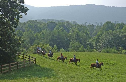 Hotel Brasstown Valley Resort & Spa