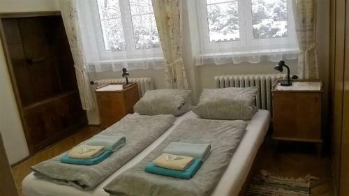 Hostal Penzion Villa Gerlach