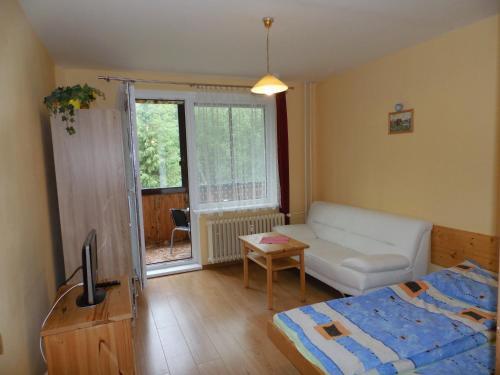 Apartm�n Zdravie Horn� Smokovec