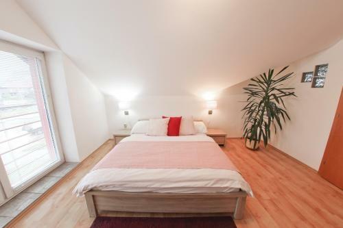 Hostal Penzion Modul