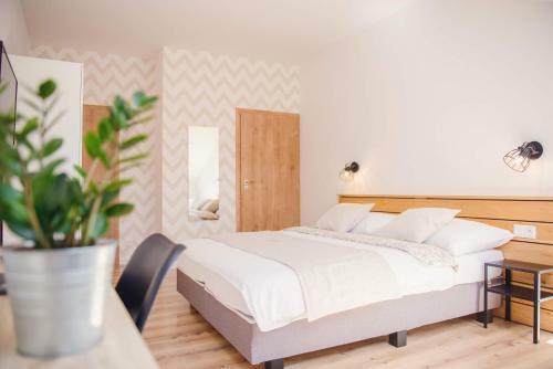 Hostal Penzion Albrechtt