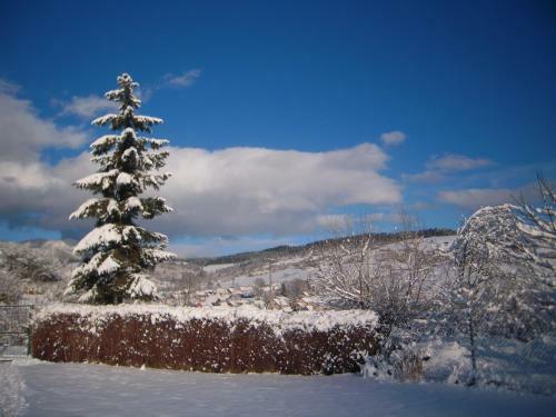 Hostal Penzi�n L�?ky