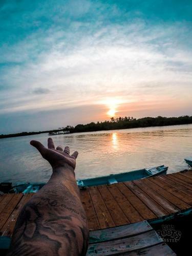 Isla Roots Hostel