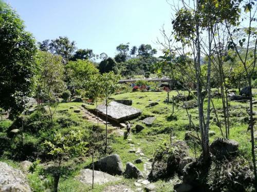 Bed & Breakfast Finca Campestre Ecolodges El Ocelote