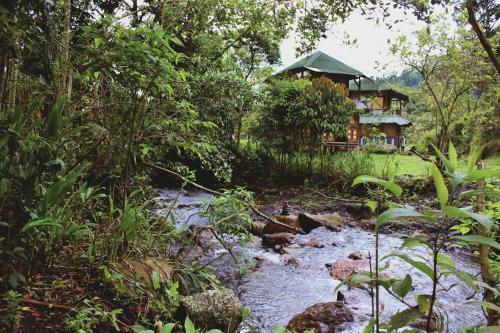 Bed & Breakfast Finca Campestre Ecolodges El Ocelote