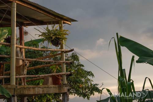 Posada Casa Cafe - Samaland