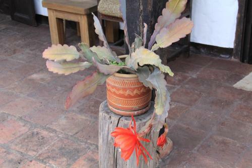 Agroturismo Hacienda Santa Rosita