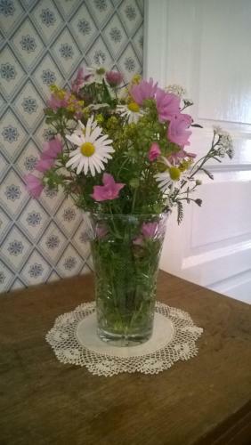 Bed & Breakfast Erkas G�rden