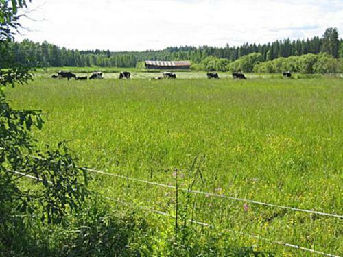 Holiday Home Pikkutupa