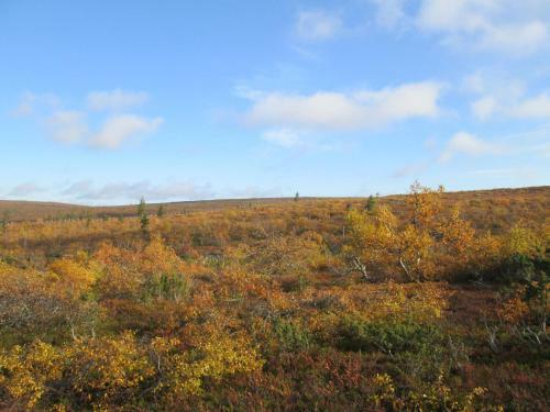 Vuotson Maja B&B