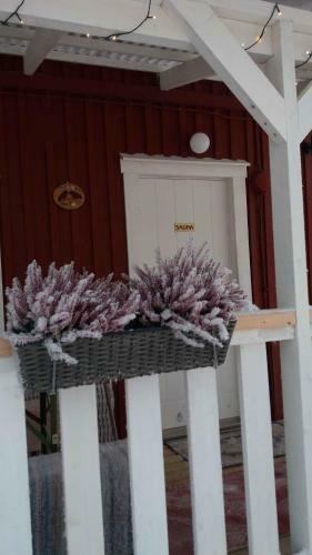 Vuotson Maja B&B