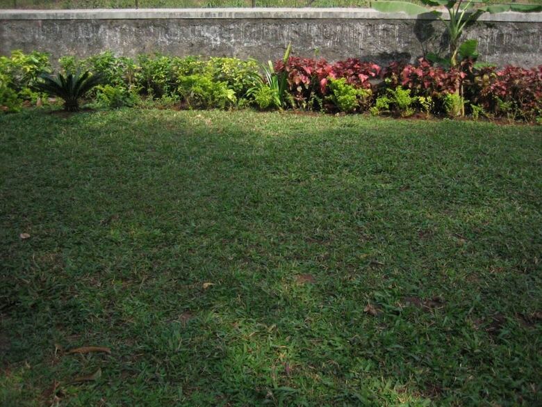 Hotel Ferreira Resort